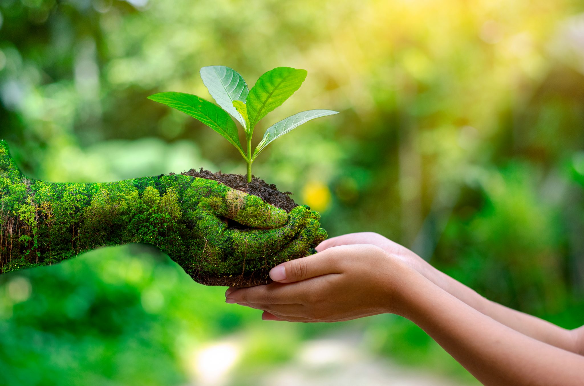 9 Things You Can Do Today To Be More Eco-Friendly – A Better Way To Age