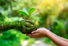 Photo of 9 Things You Can Do Today to Be More Eco-Friendly