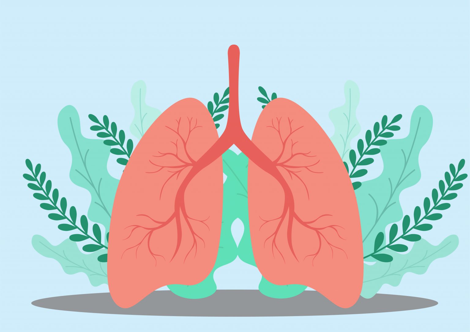 8 Tips to Support Your Respiratory Health – A Better Way To Age